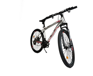 Frog corvette 2024 29er
